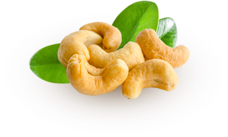 Cam kết từ vincas