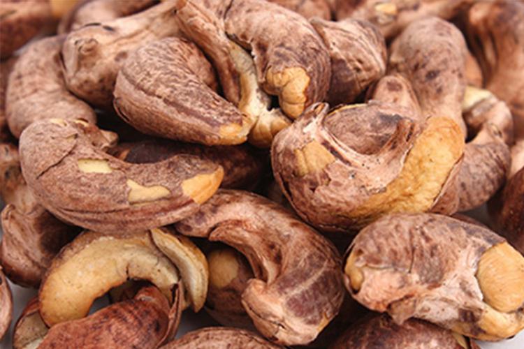Công thức 3 món ngon từ hạt điều ở vùng quê Bình Phước - 3