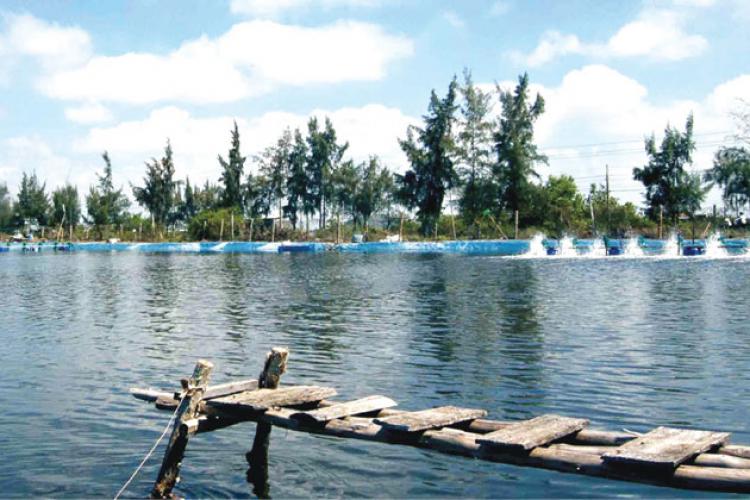 KIỂM SOÁT GIÁ TRỊ ĐỆM TRONG THỨC ĂN